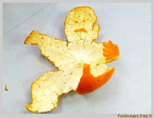 funimages image photo insolite humour orange drole fruit